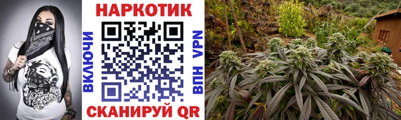 Купить закладку Злынка ГАШИШ БУТИРАТ A PVP omg ссылка Конопля Меф мяу мяу