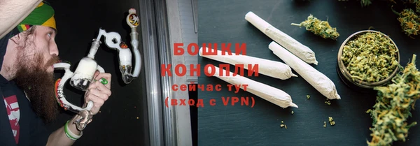 гидра Вязьма