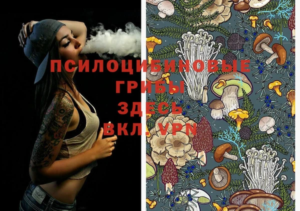 каннабис Бородино