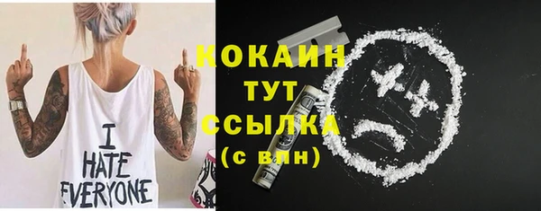 PSILOCYBIN Вяземский