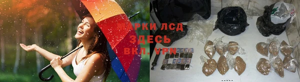 PSILOCYBIN Вяземский
