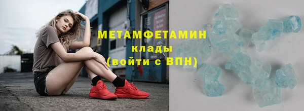 PSILOCYBIN Вяземский