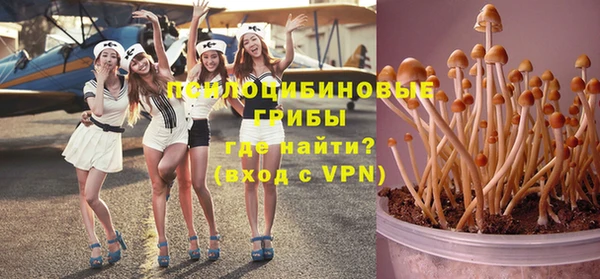 МДПВ Володарск
