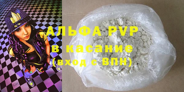 гидра Вязьма