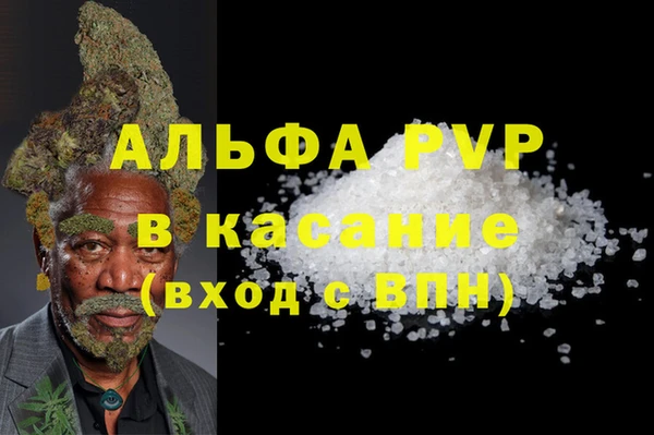 PSILOCYBIN Вяземский