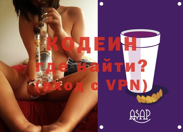гидра Вязьма